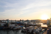 Enlarge photo 126