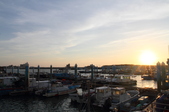 Enlarge photo 124