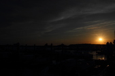 Enlarge photo 121