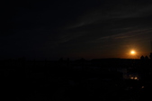 Enlarge photo 120