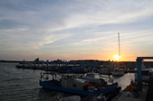 Enlarge photo 115