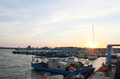 Enlarge photo 113