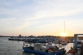Enlarge photo 112