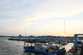 Enlarge photo 74