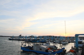 Enlarge photo 73