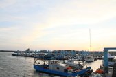 Enlarge photo 60