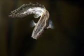 Enlarge photo 31