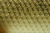 Enlarge photo 166