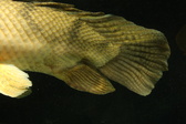 Enlarge photo 204