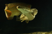 Enlarge photo 202