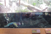 Enlarge photo 72
