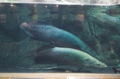 Enlarge photo 29