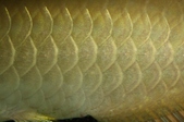Enlarge photo 58