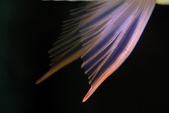Enlarge photo 122