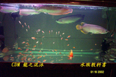 Enlarge photo 2
