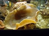 Enlarge photo 131