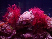 Enlarge photo 33
