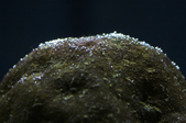 Enlarge photo 153