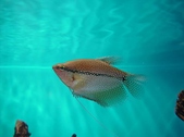Enlarge photo 3