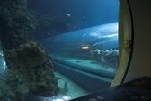 Enlarge photo 45