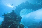 Enlarge photo 47