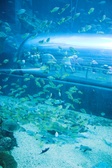 Enlarge photo 49
