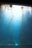 Enlarge photo 39