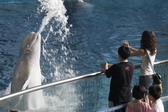 Enlarge photo 43