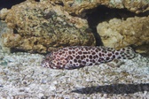 Enlarge photo 52
