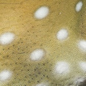 Enlarge photo 89