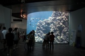 Enlarge photo 154