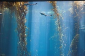Enlarge photo 189