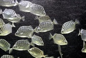 TongSiao Marine Museum