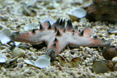 Enlarge photo 3