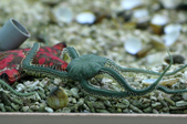 Enlarge photo 25
