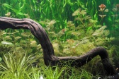 Enlarge photo 110
