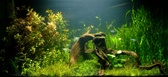 Enlarge photo 108