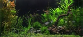 Enlarge photo 41