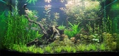 Enlarge photo 105