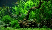 Enlarge photo 43