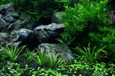 Enlarge photo 44