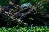 Enlarge photo 45