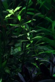 Enlarge photo 46
