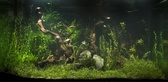 Enlarge photo 90