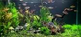 Enlarge photo 48