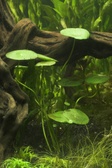 Enlarge photo 96