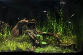 Enlarge photo 100