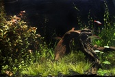 Enlarge photo 103