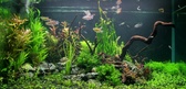 Enlarge photo 51
