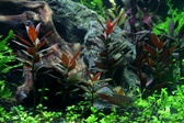 Enlarge photo 53